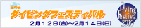 24th �_�C�r���O�t�F�X�e�B�o��2010