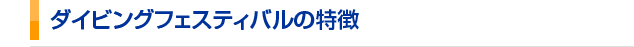 �_�C�r���O�t�F�X�e�B�o���̓���