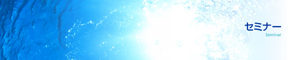 �Z�~�i�[