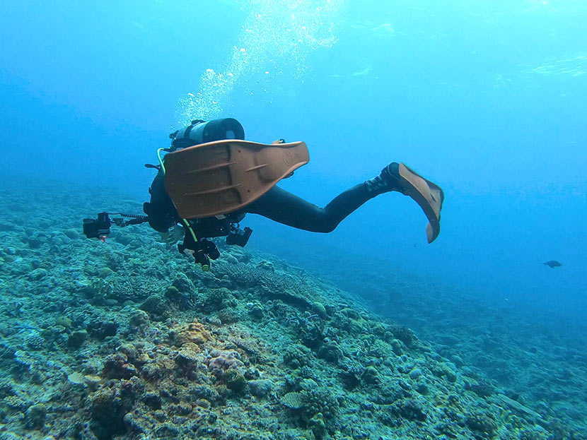 【2021年NEWダイビングギア】株式会社キヌガワ | 日本スクーバダイビング協会 公式サイト Japan Scuba Diving